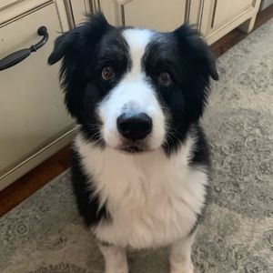 Meet your Posher, Katherine